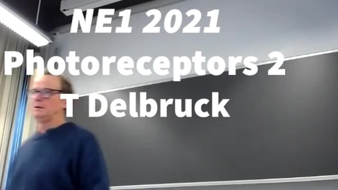 Thumbnail for entry Photoreceptors 2 - T Delbruck - NE1 2021