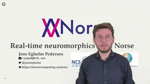 Vorschaubild für Eintrag NEUROTECH Tutorial: Real-time neuromorphics with Norse
