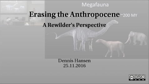 Thumbnail for entry Erasing the Anthropocene