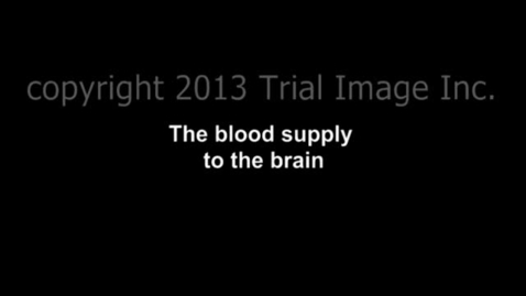 Vorschaubild für Eintrag 2.1 Blood Supply to the Brain