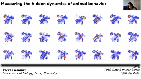 Thumbnail for entry Gordon Berman, Emory University - Measuring the hidden dynamics of animal behavior